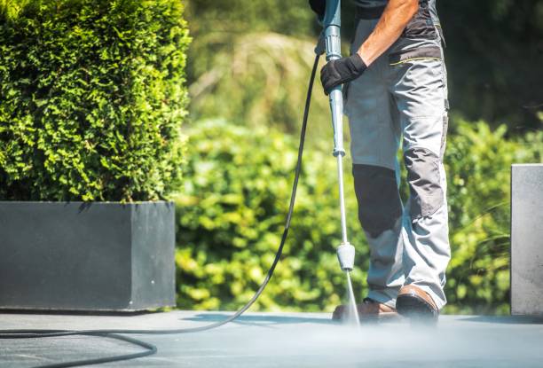 Best Pool Deck Cleaning in Ivanhoe, CA